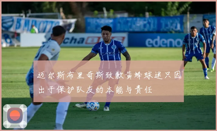 迈尔斯布里奇斯致歉黄蜂球迷只因出于保护队友的本能与责任