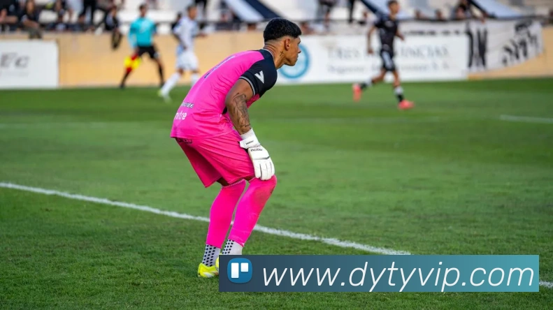 第一体育APP 封面图